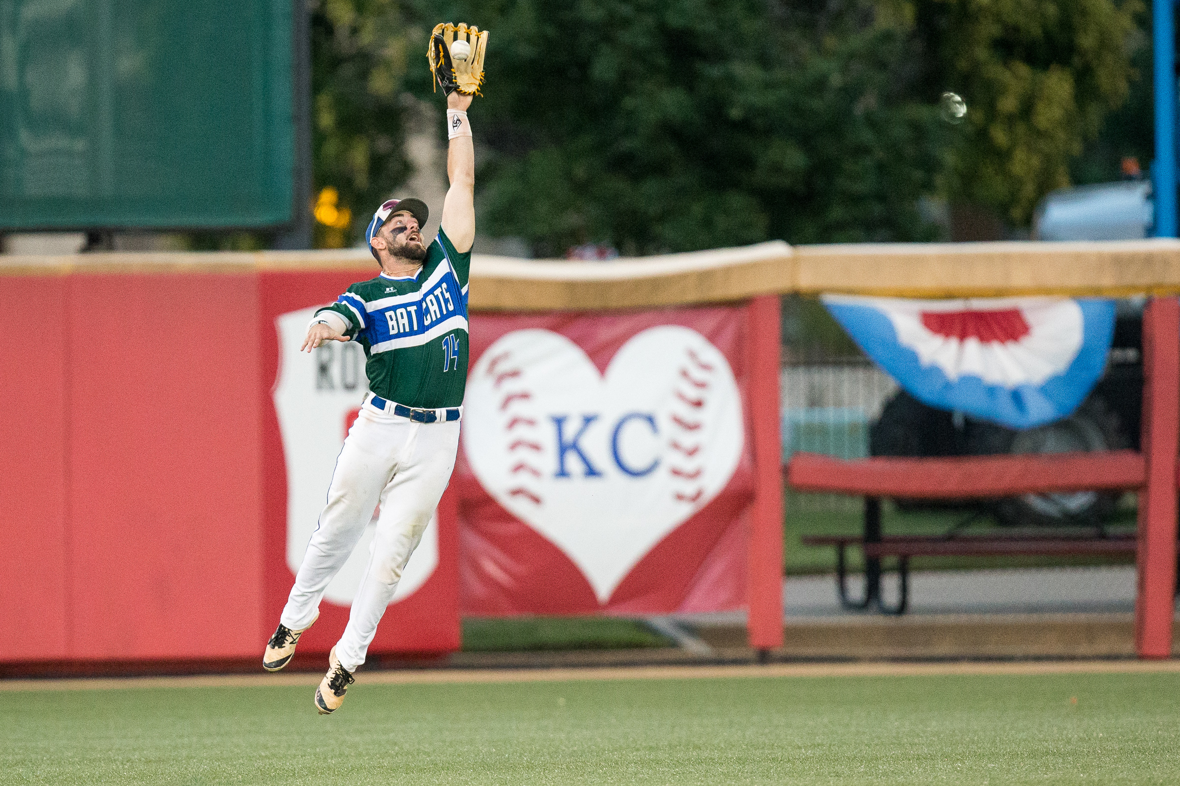 Donate to the national baseball congress